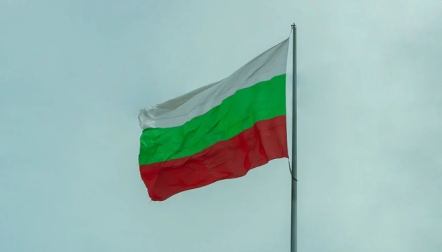 Уламки безпілотника на місці вибуху поблизу газопроводу в Болгарії